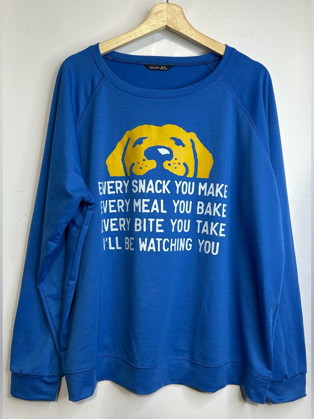 Lili Cloth Puppy Begging for Snacks Lightweight Blue Sweatshirt XXL